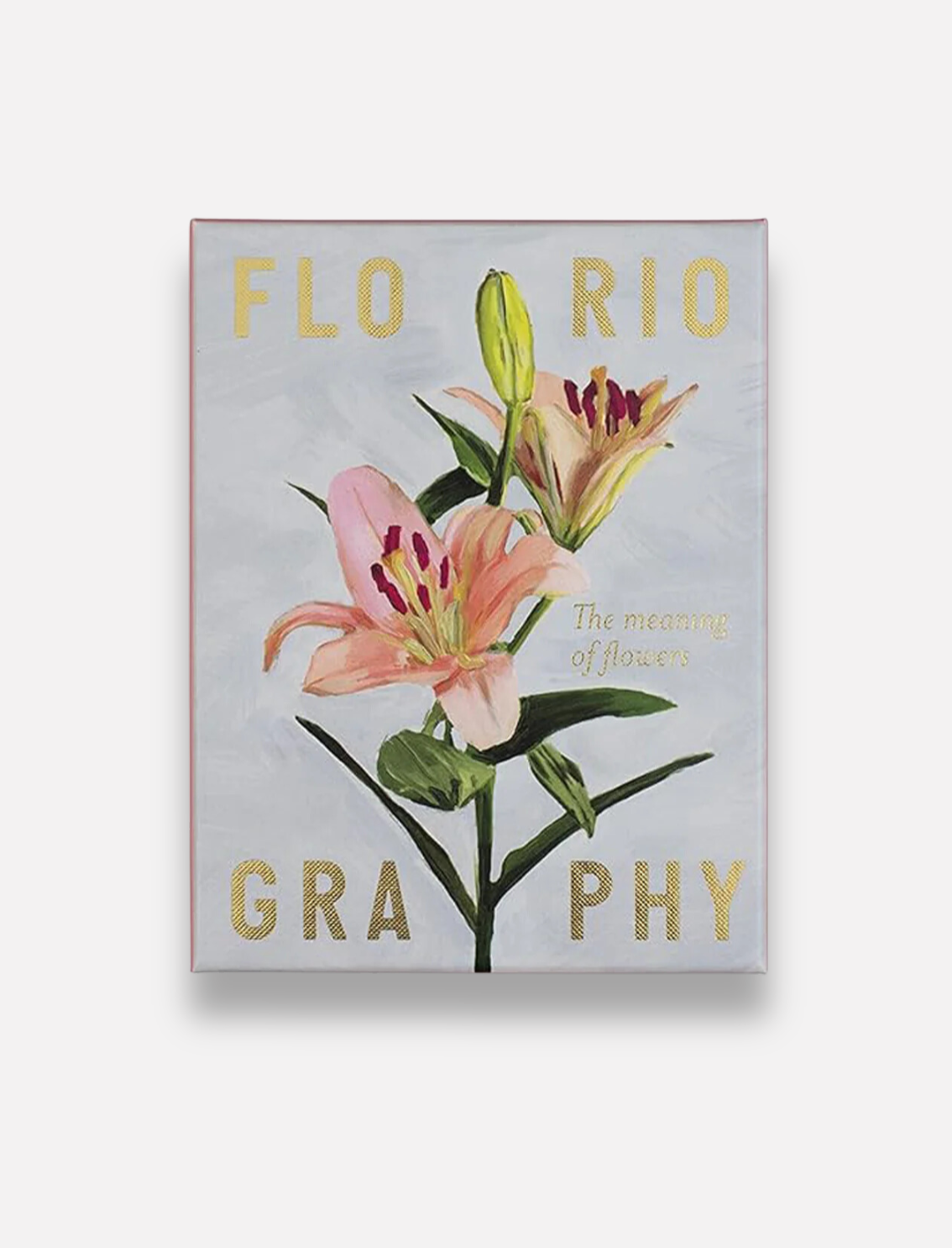 מארז 50 גלויות: Floriography- The Meaning of Flowers