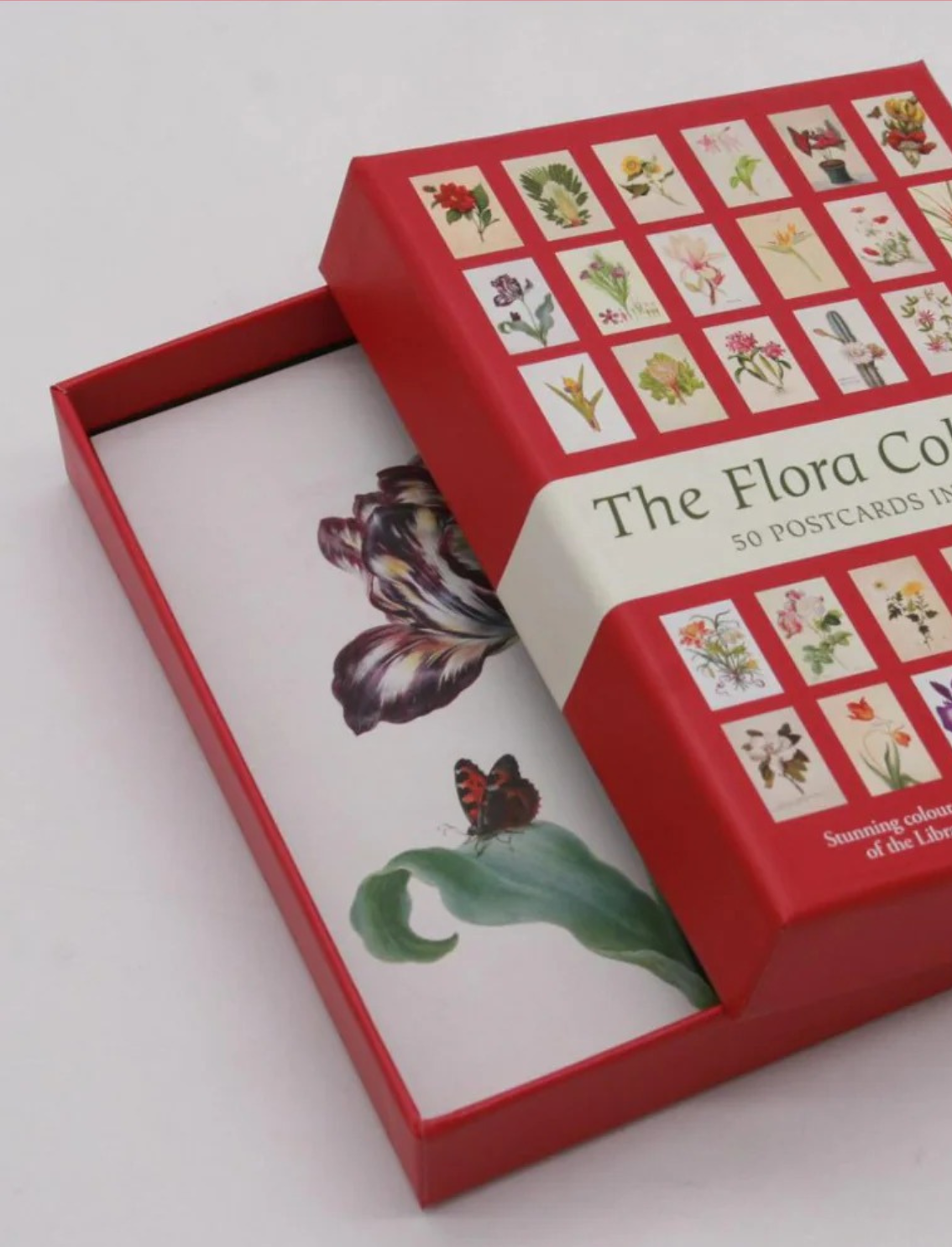 מארז גלויות: The Flora Collection