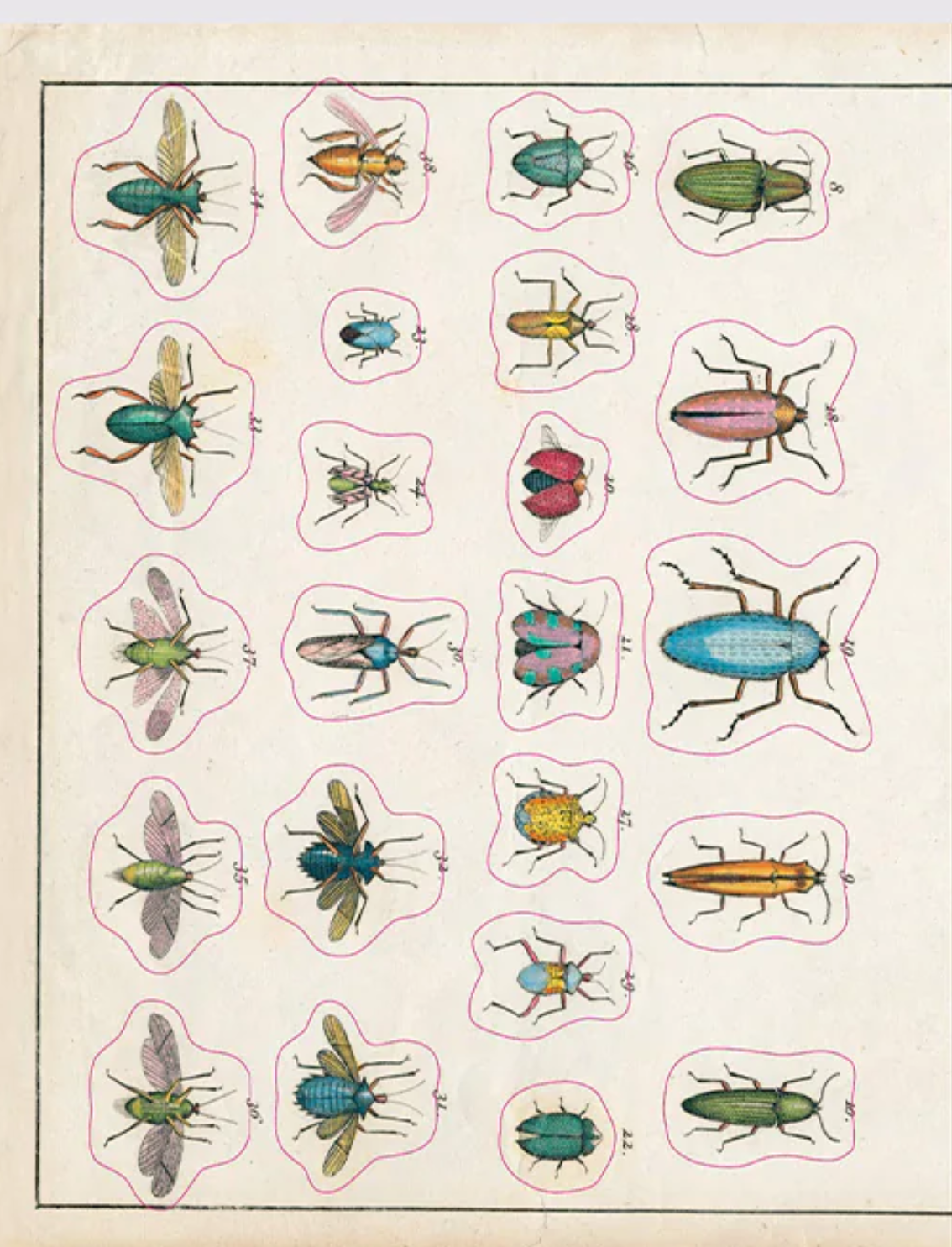 ספר מדבקות מצוירות של John Derian