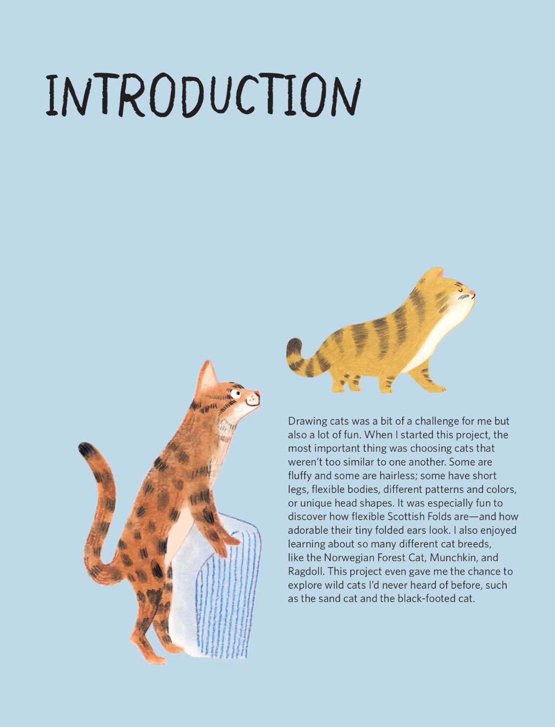 ספר יצירה: Cats Drawing Class