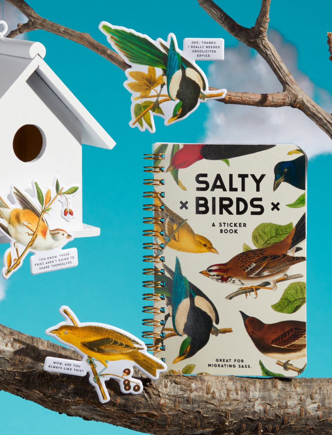 חוברת מדבקות Salty Birds