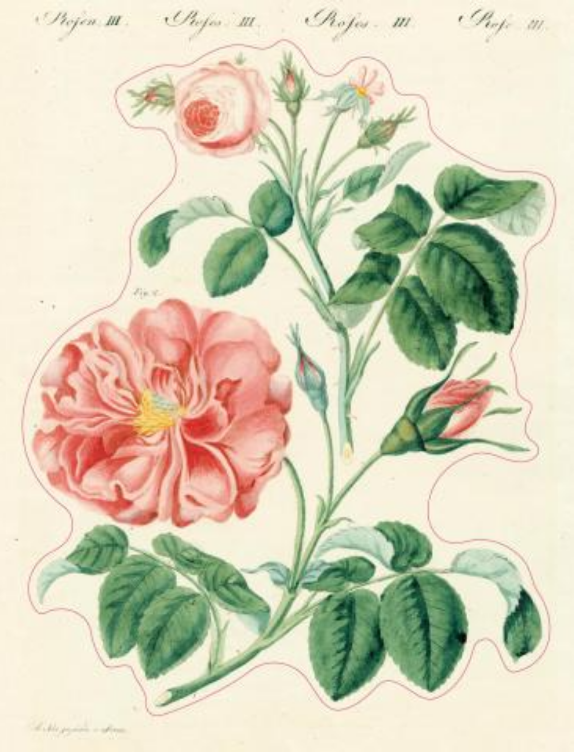 ספר מדבקות מאוירות John Derian 2