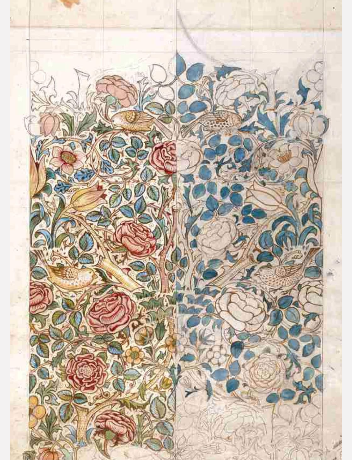 מארז גלויות William Morris