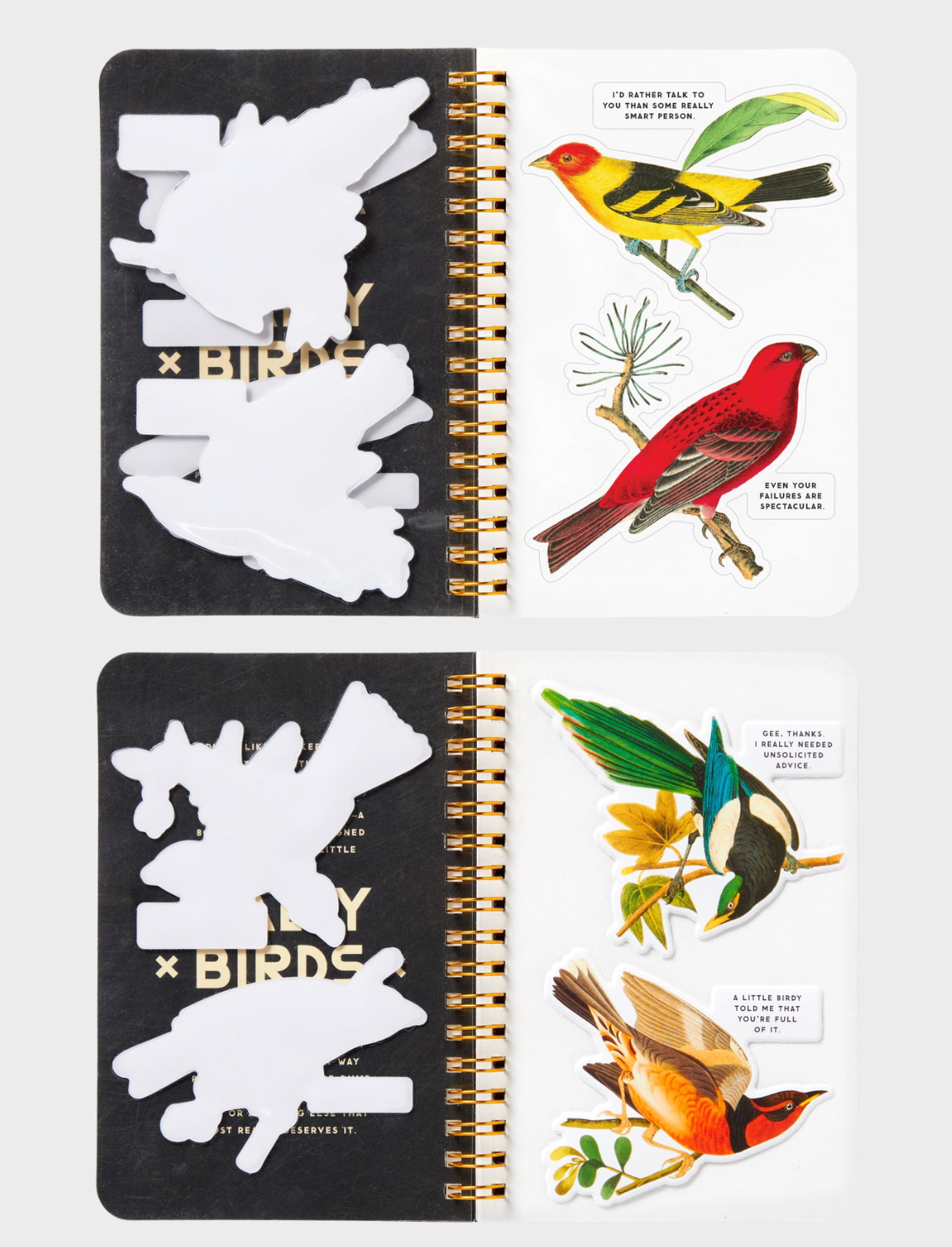 חוברת מדבקות Salty Birds