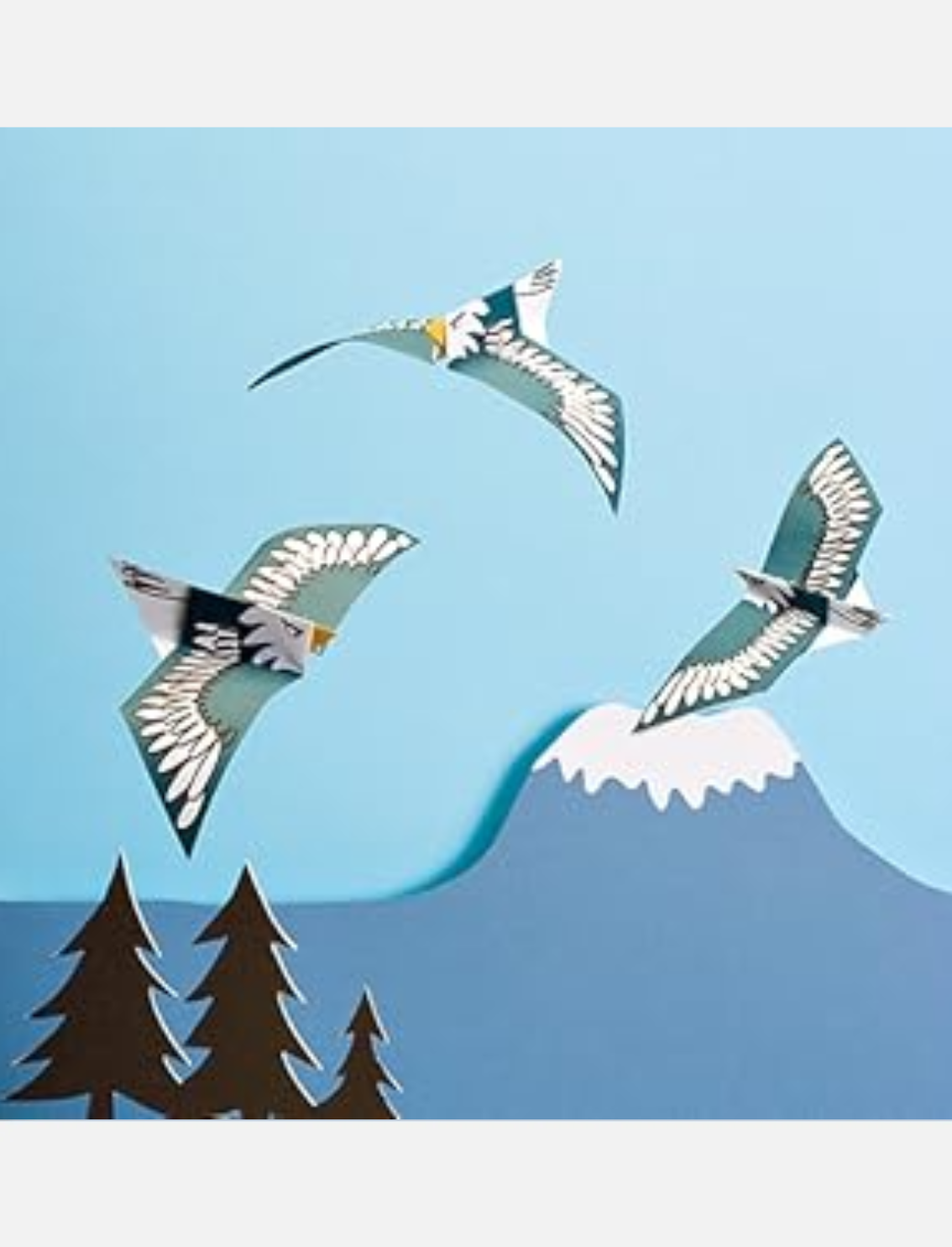 סט אוריגמי Wild Animals