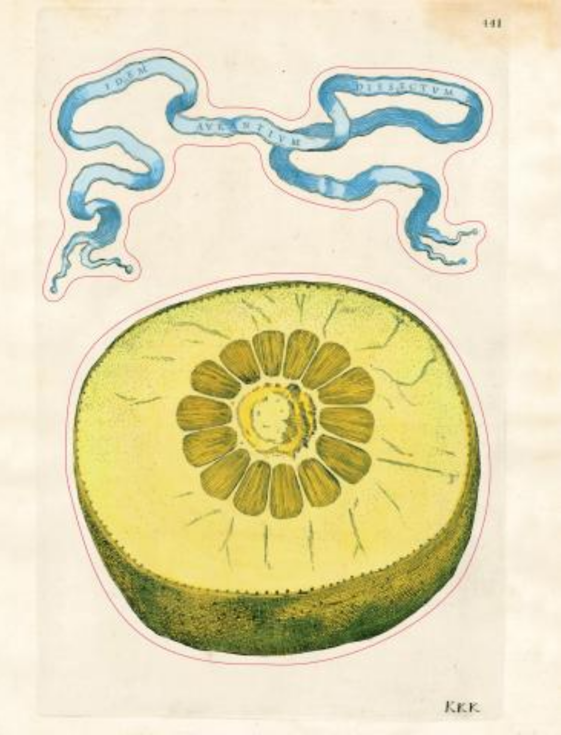 ספר מדבקות מאוירות John Derian 2