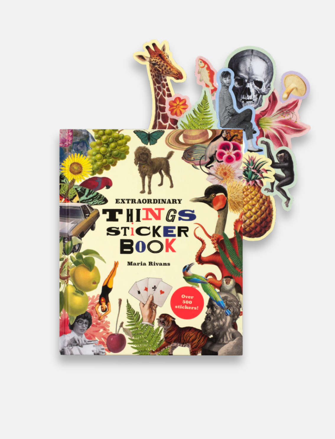 ספר מדבקות Extraordinary Things