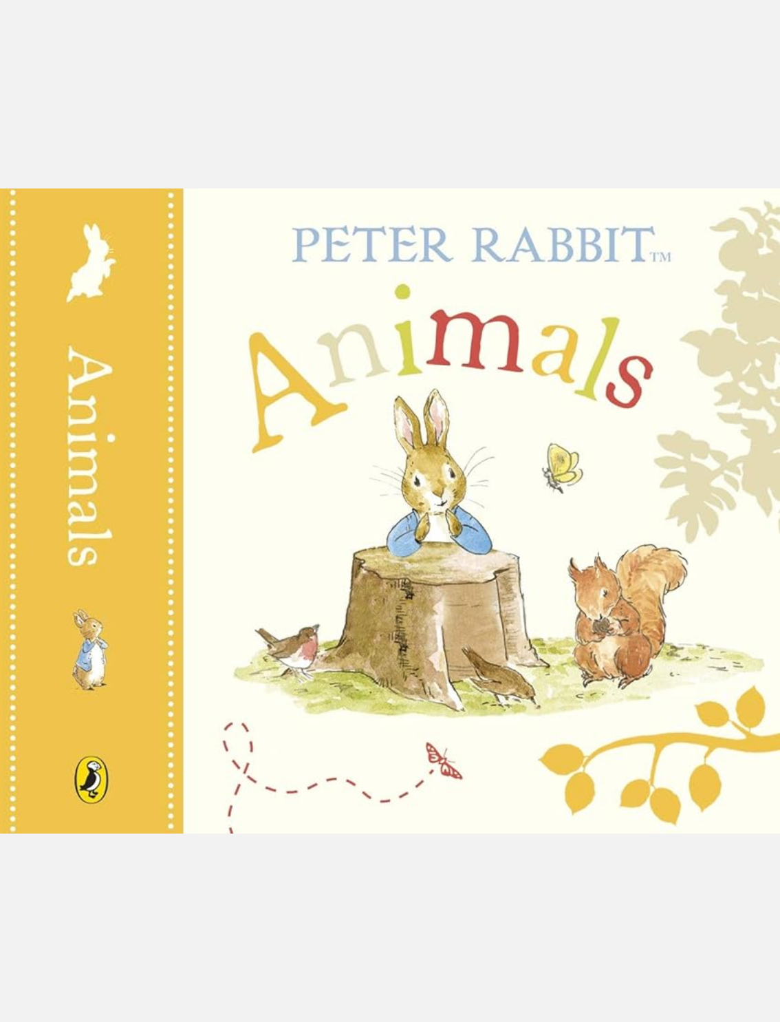 מארז ספרונים Little Library Peter Rabbit