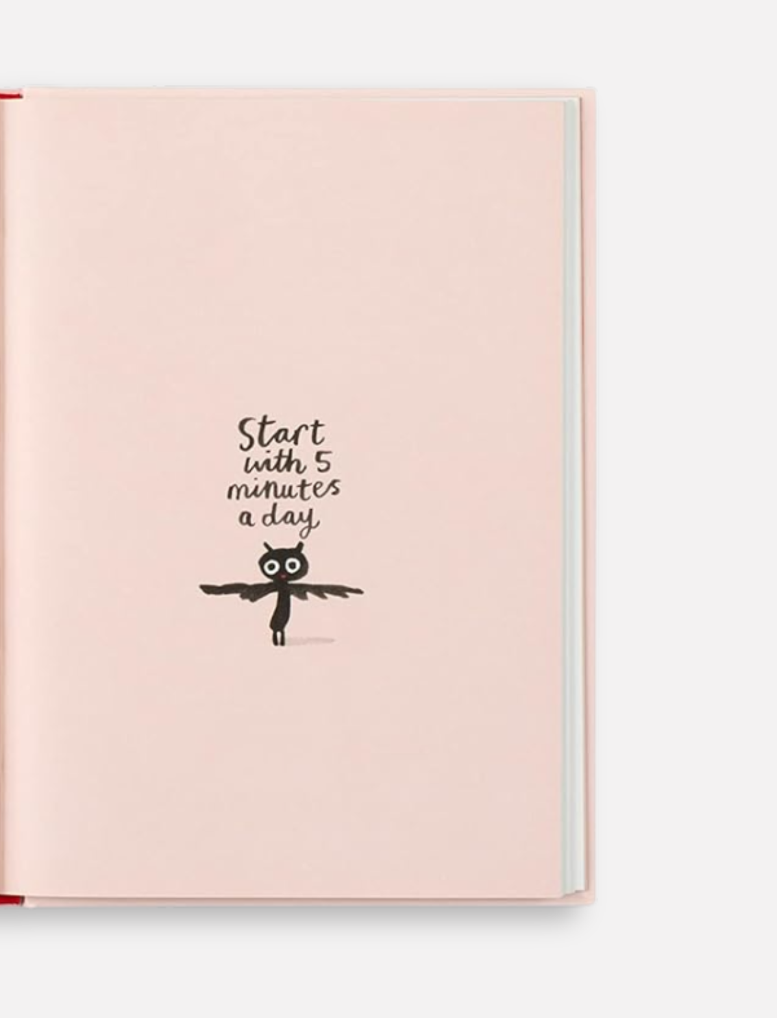 ספר התעמלות Yoga for Stiff Birds