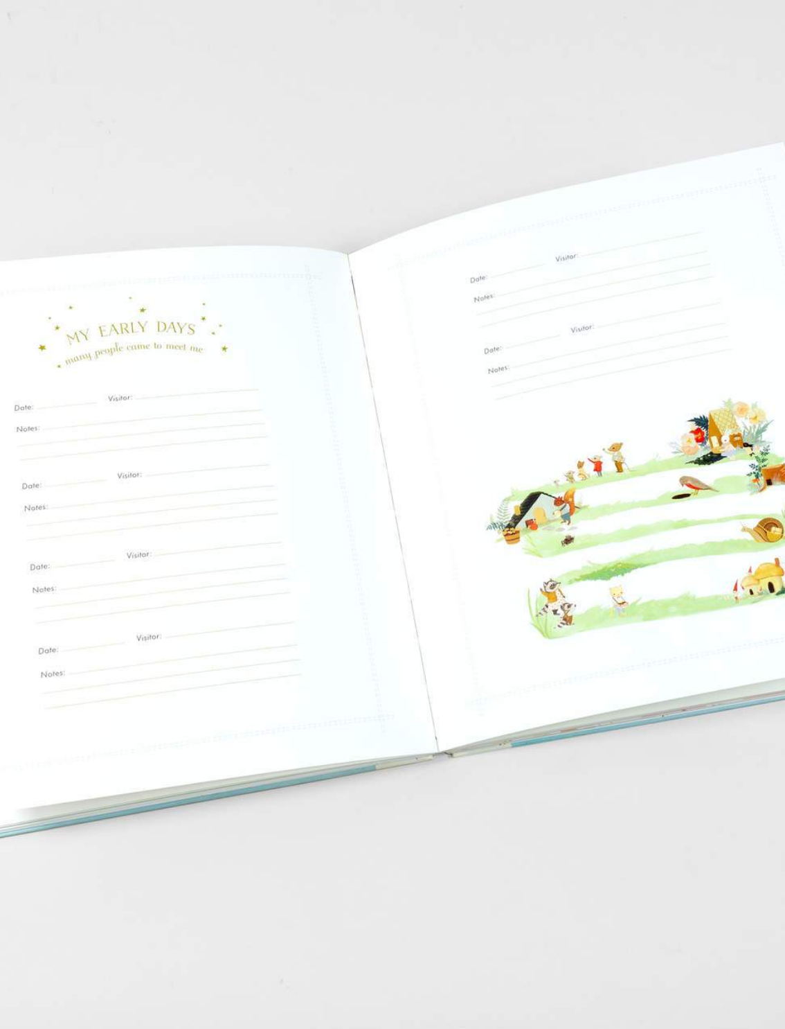 יומן מזכרות לתינוק: The Wonderful Baby You Are