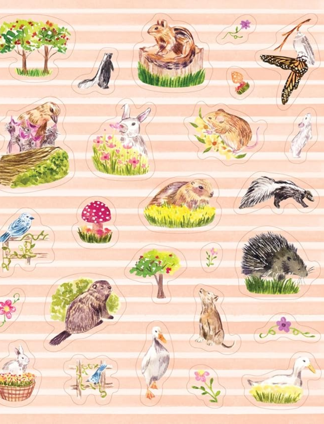 ספר מדקות Nature Lover's