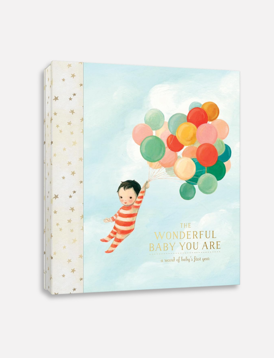 יומן מזכרות לתינוק: The Wonderful Baby You Are