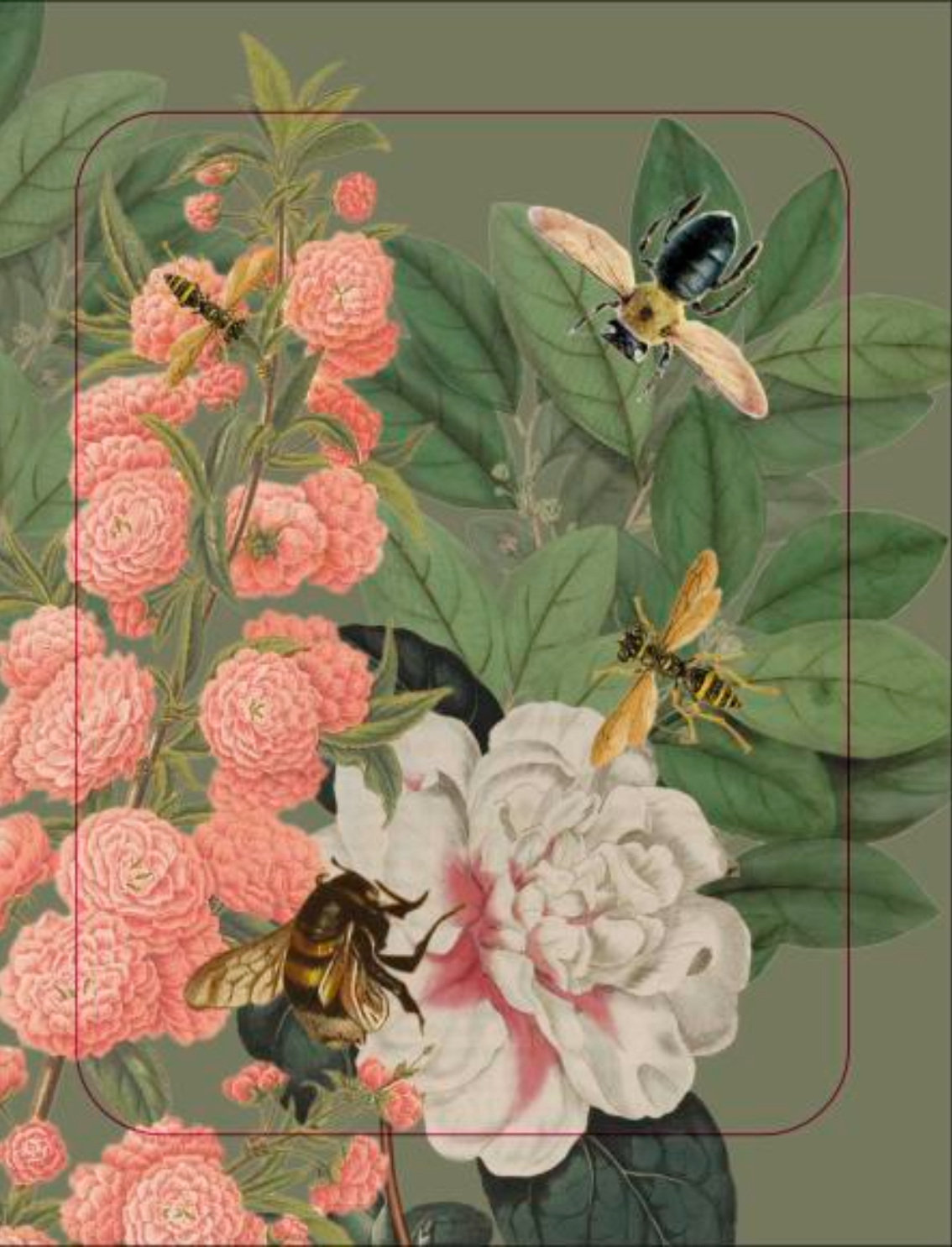 ספר מדבקות: The Bees, Birds & Butterflies Sticker Anthology
