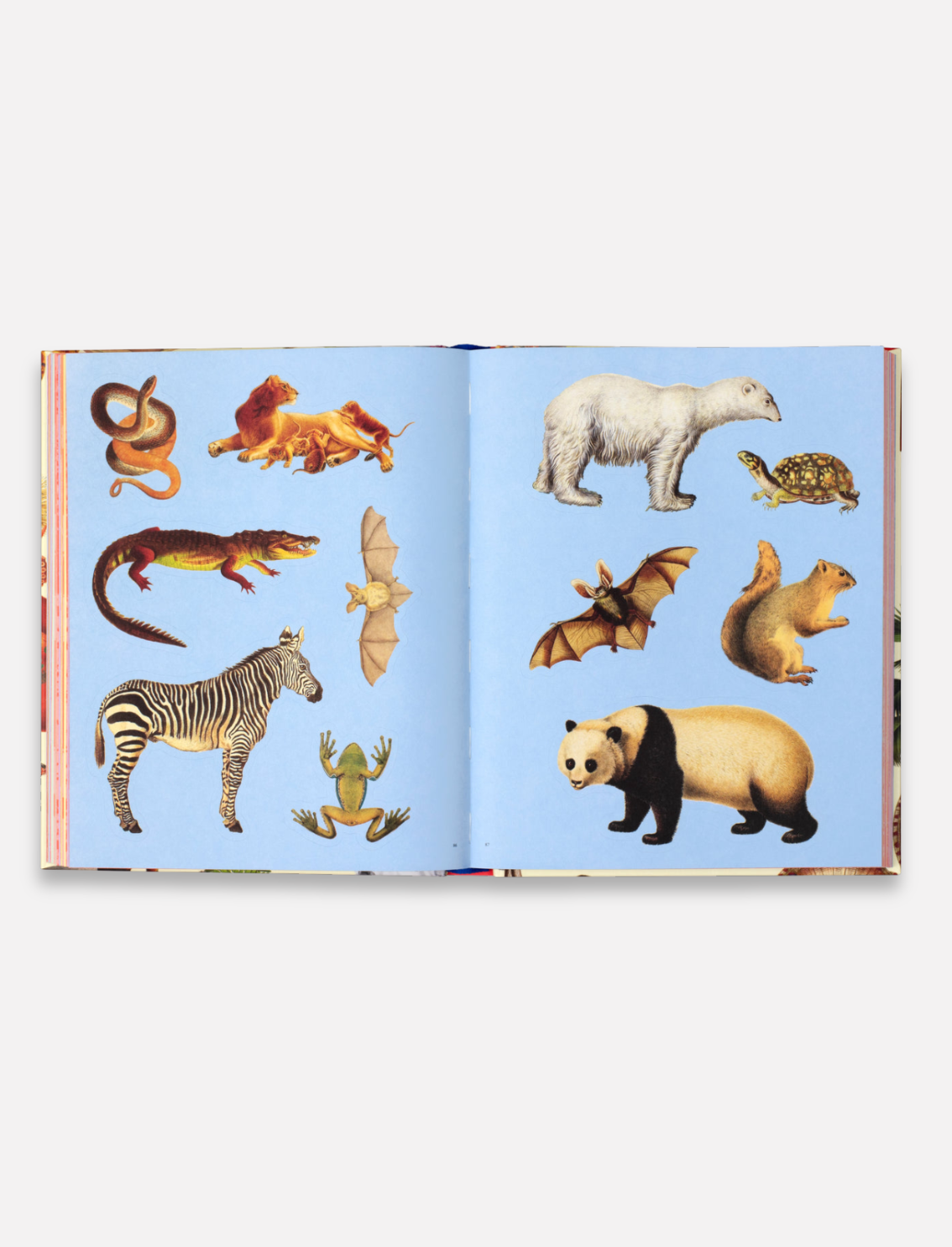 ספר מדבקות Extraordinary Things