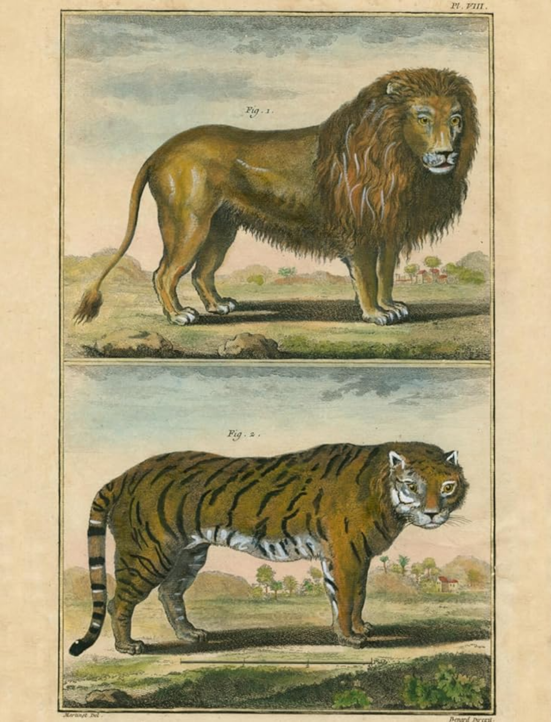 ספר מדבקות מאוירות John Derian 2