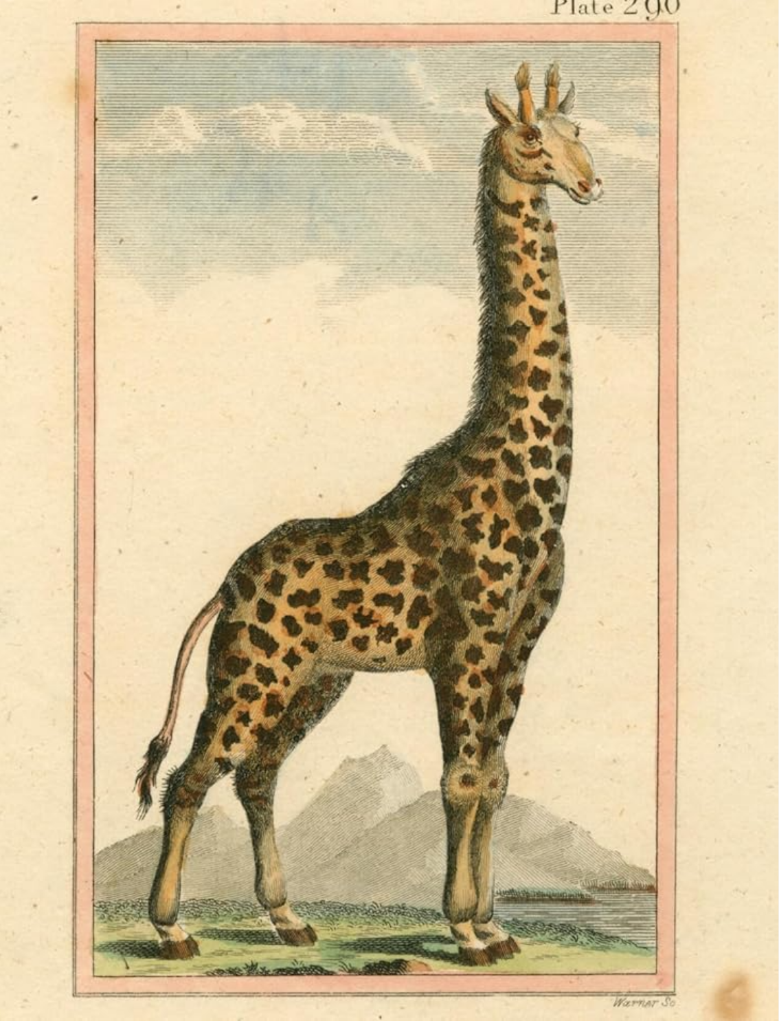 ספר מדבקות מאוירות John Derian 2