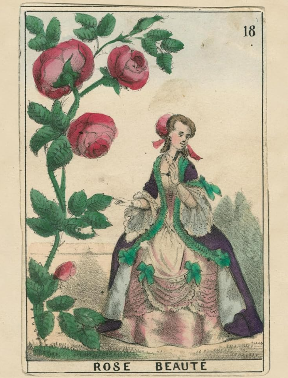 ספר מדבקות מאוירות John Derian 2