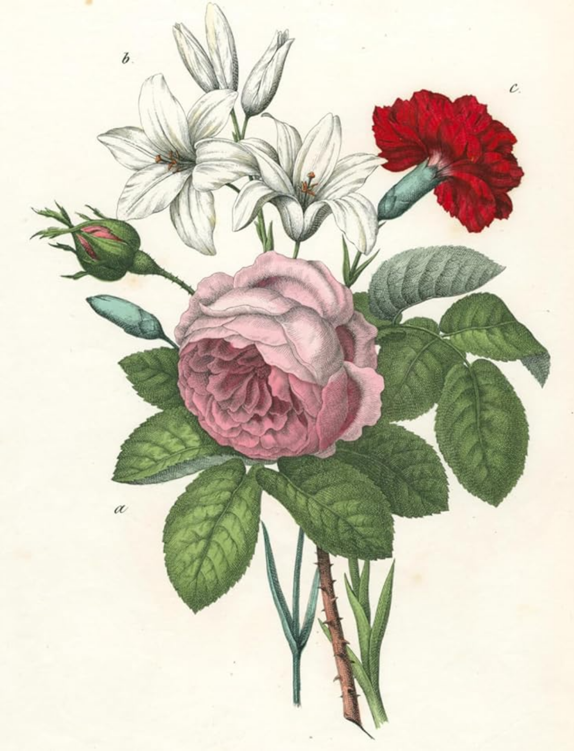 ספר מדבקות מאוירות John Derian 2