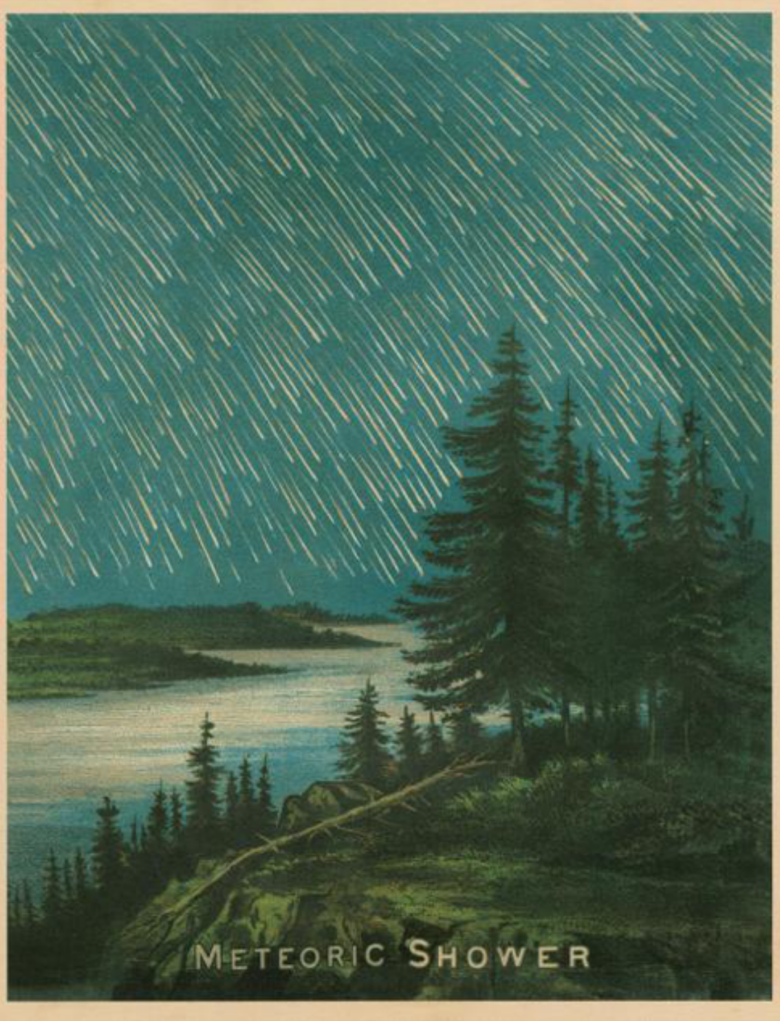 ספר מדבקות מאוירות John Derian 2