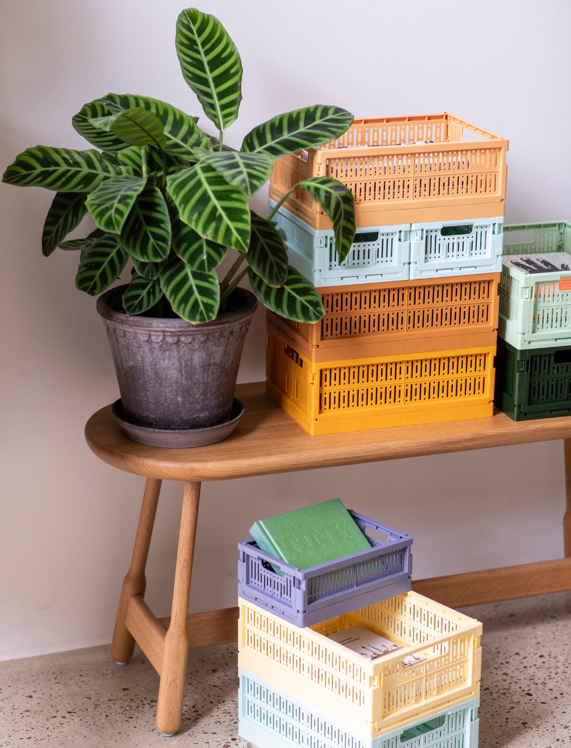 ארגז אחסון מתקפל Midi