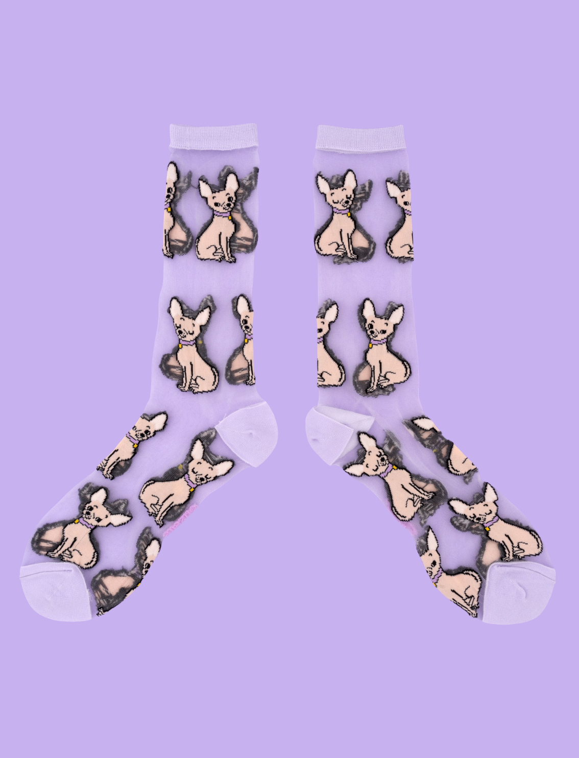 גרביים שקופות Chihuahua