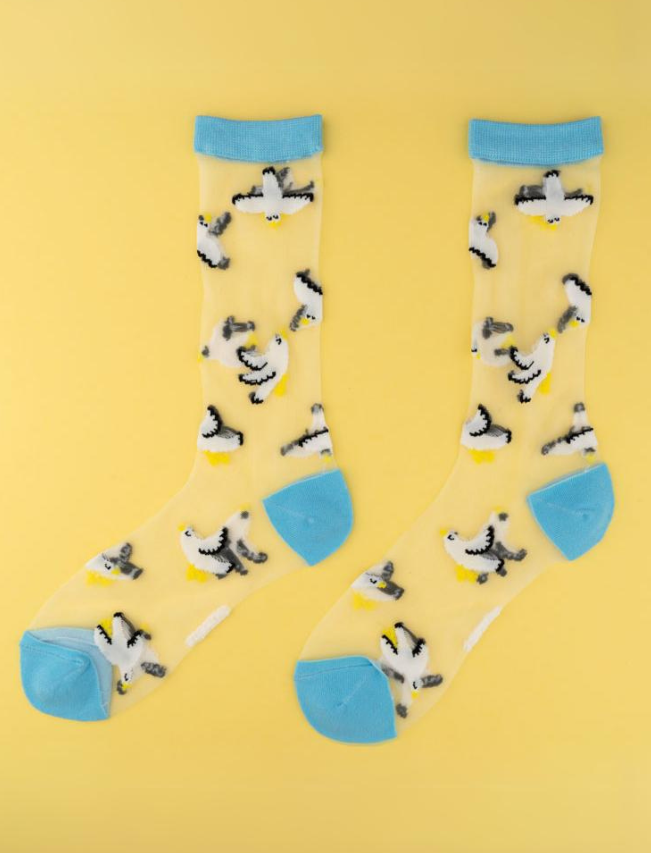 גרביים שקופות Seagull