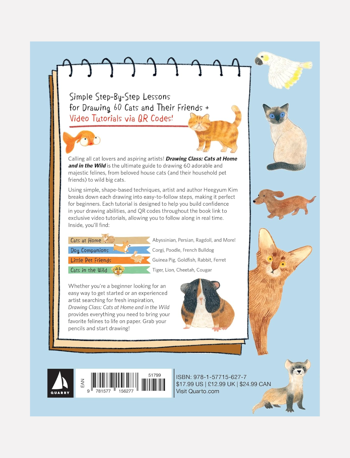 ספר יצירה: Cats Drawing Class