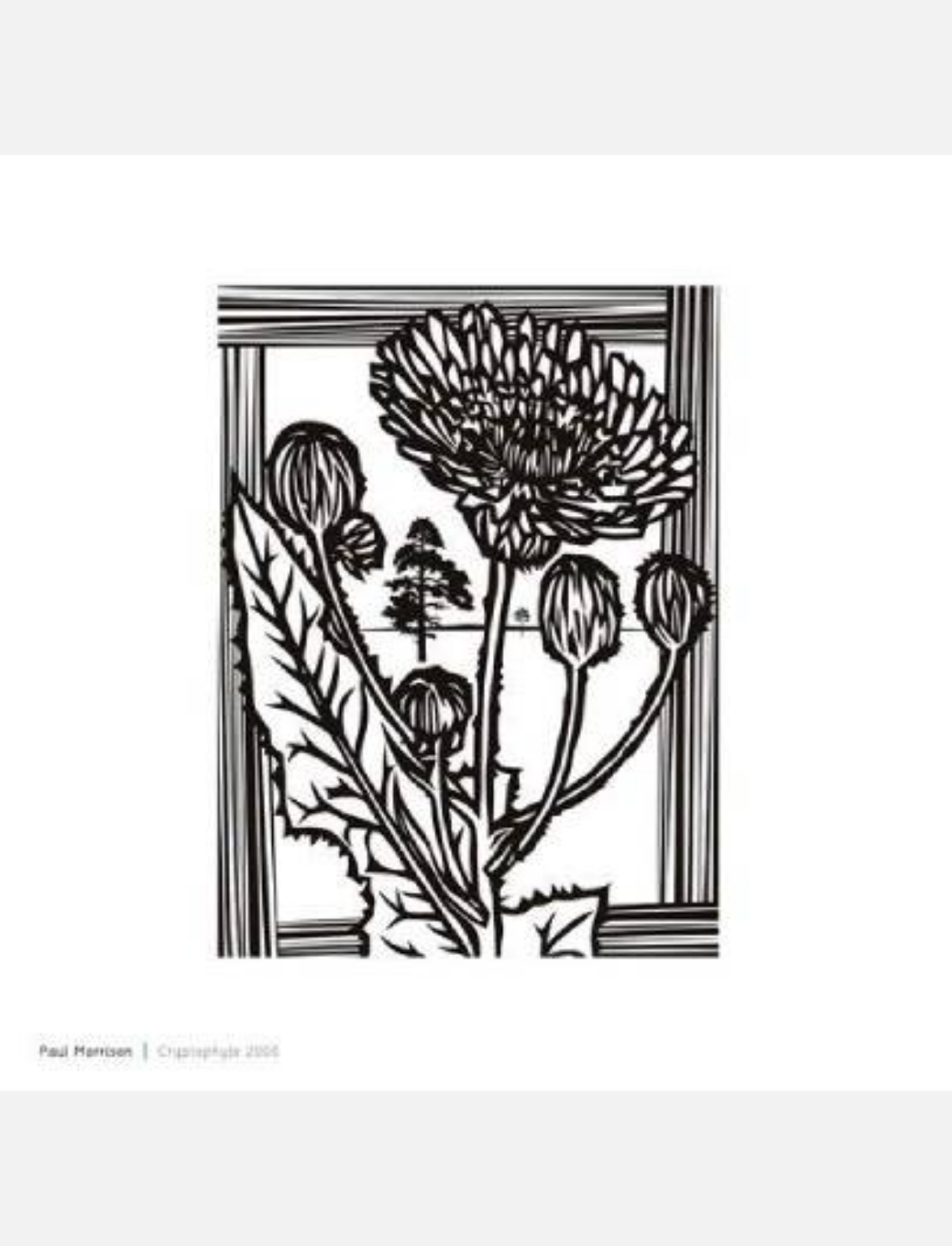 ספר תמונות Art For Baby