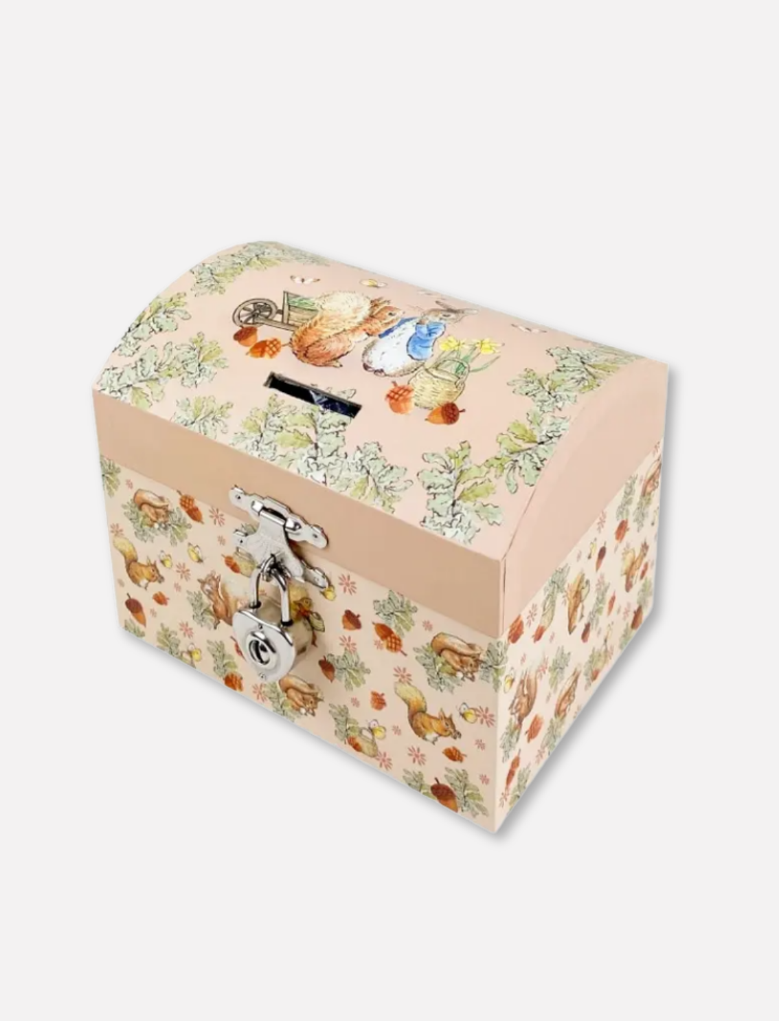 תיבת נגינה Peter Rabbit & Squirrel