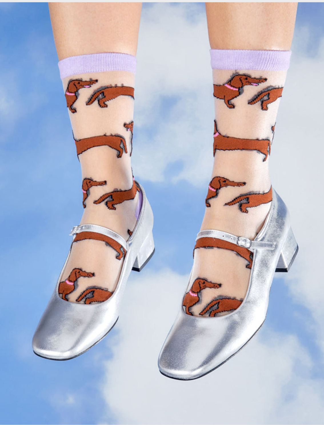 גרביים שקופות Dachshund