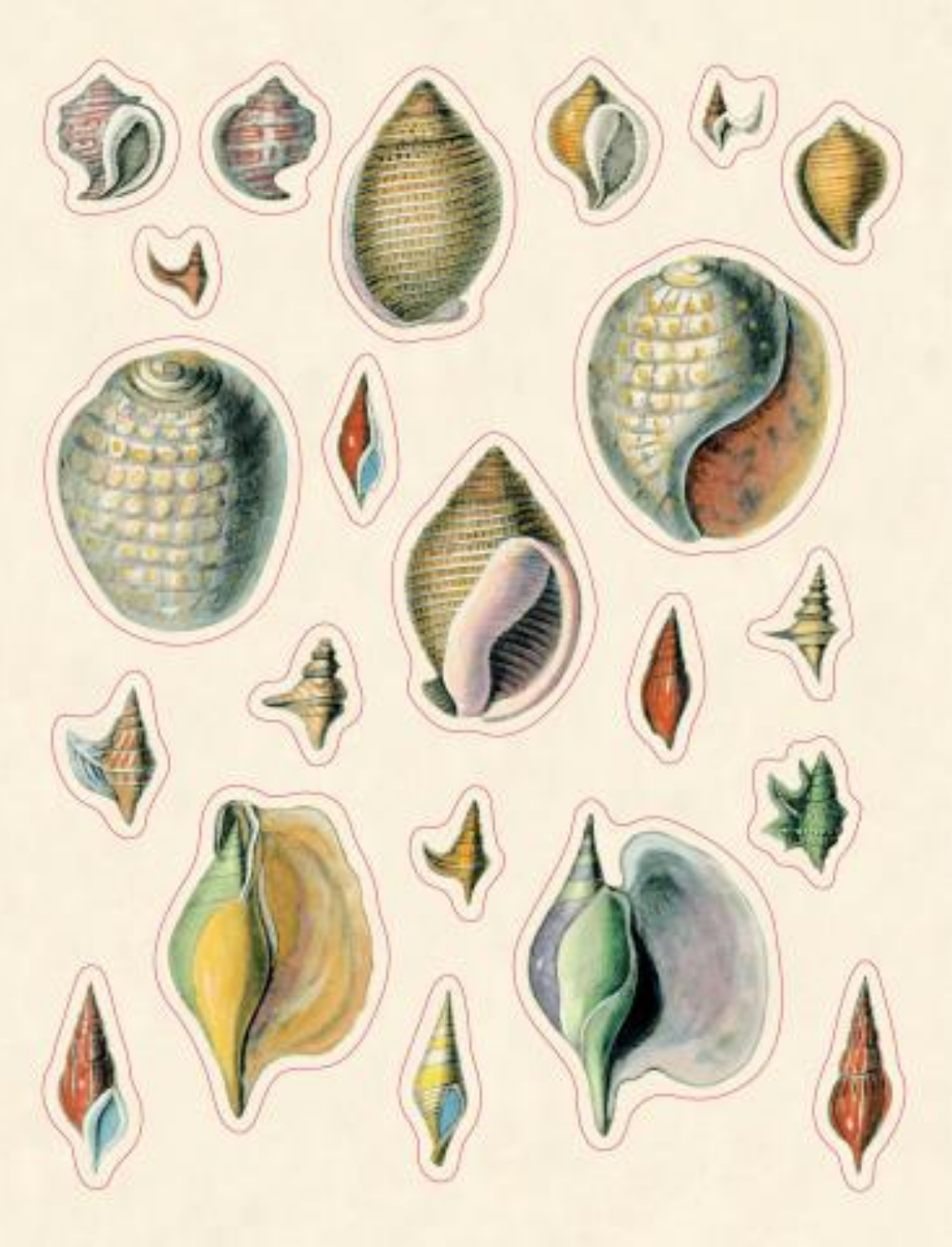 ספר מדבקות מאוירות John Derian 2