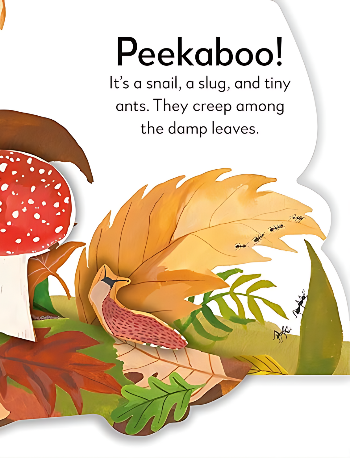 ספר פופ אפ: Peekaboo! Forest