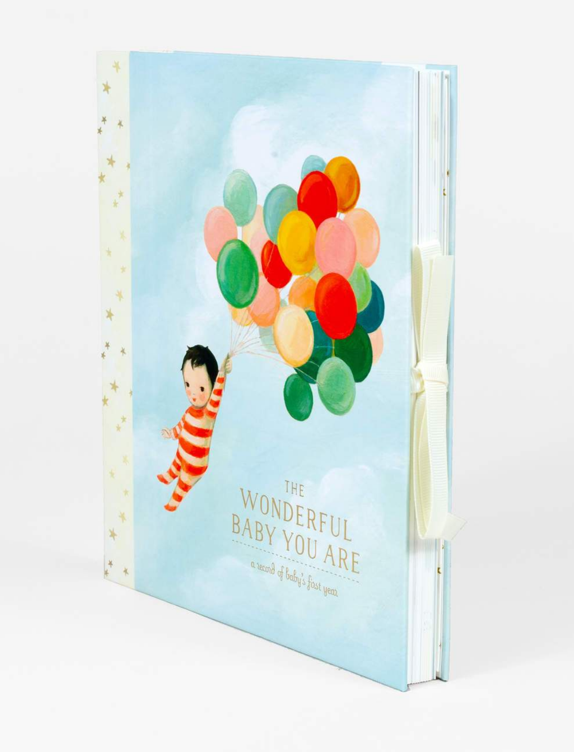 יומן מזכרות לתינוק: The Wonderful Baby You Are