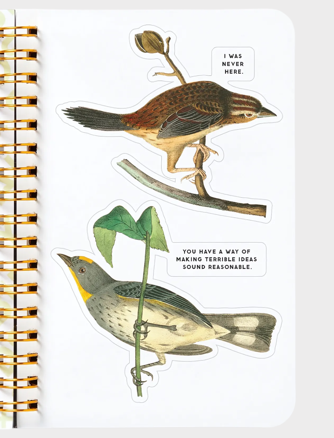 חוברת מדבקות Salty Birds