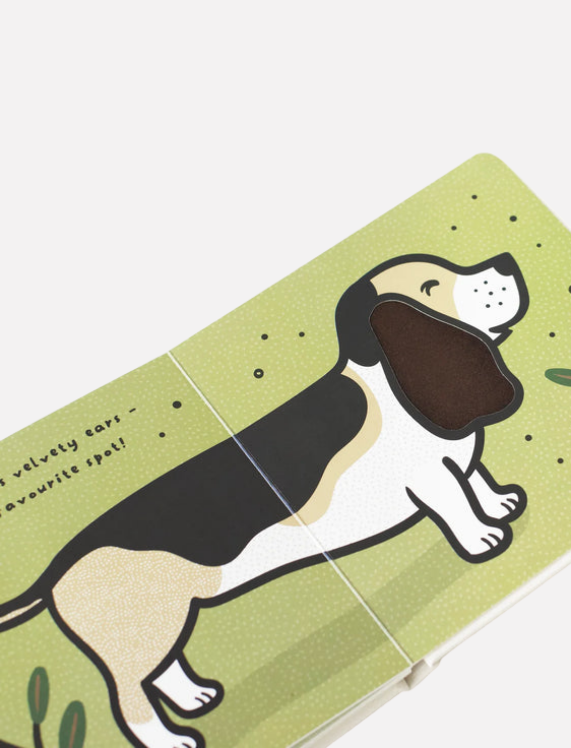 ספר סנסורי Ears