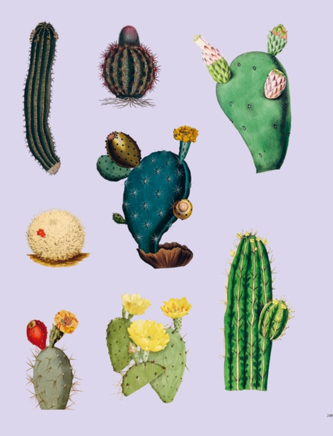 ספר מדבקות Extraordinary Things