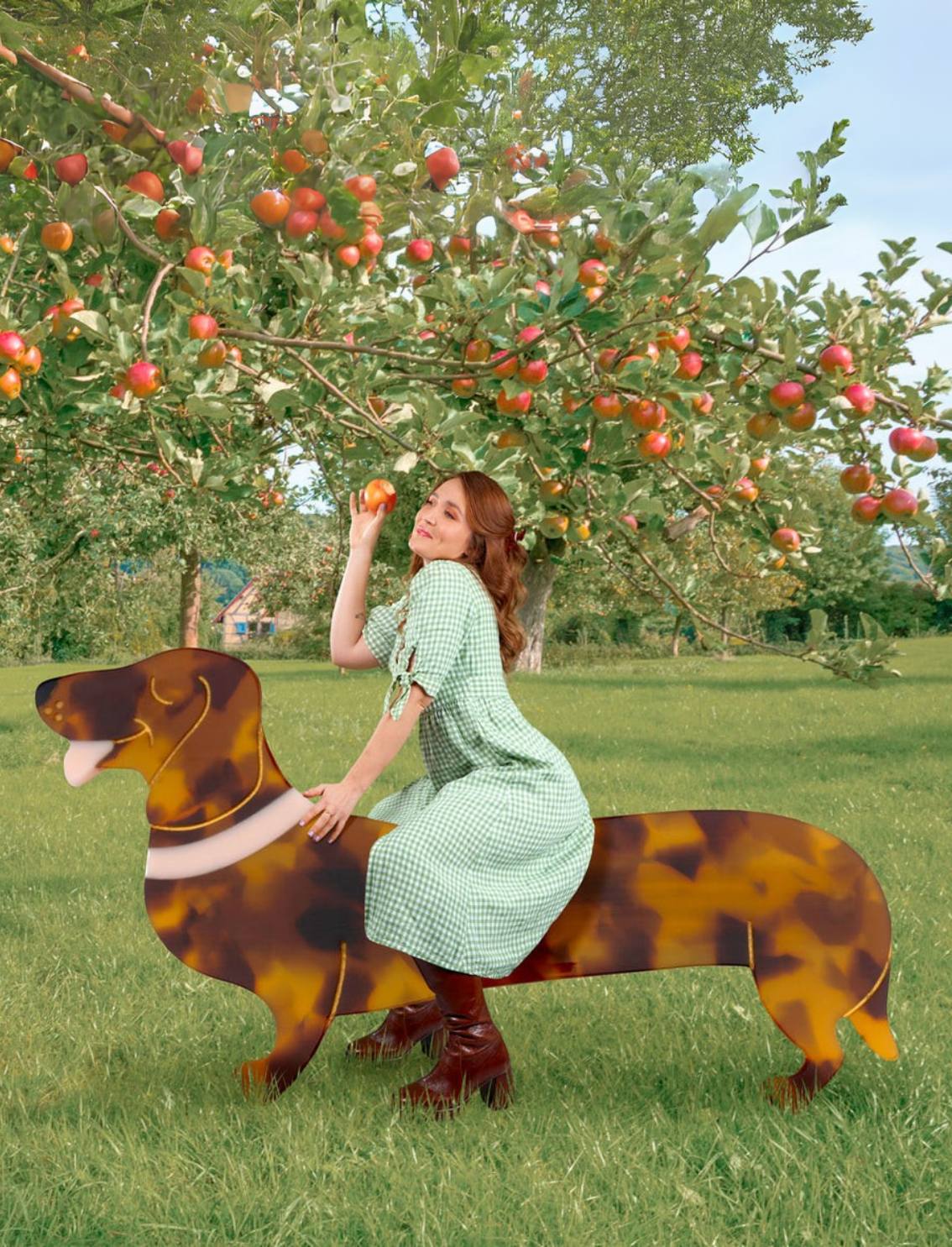 קליפס ברט לשיער Dachshund