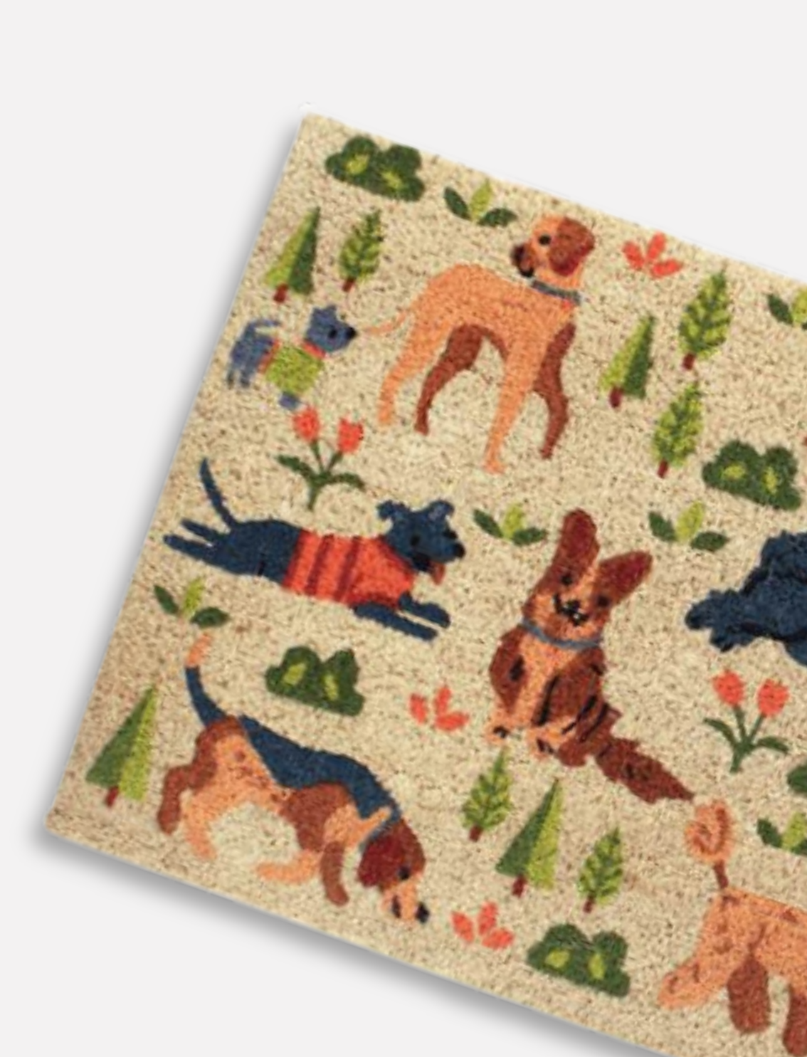 שטיח כניסה Dog Park