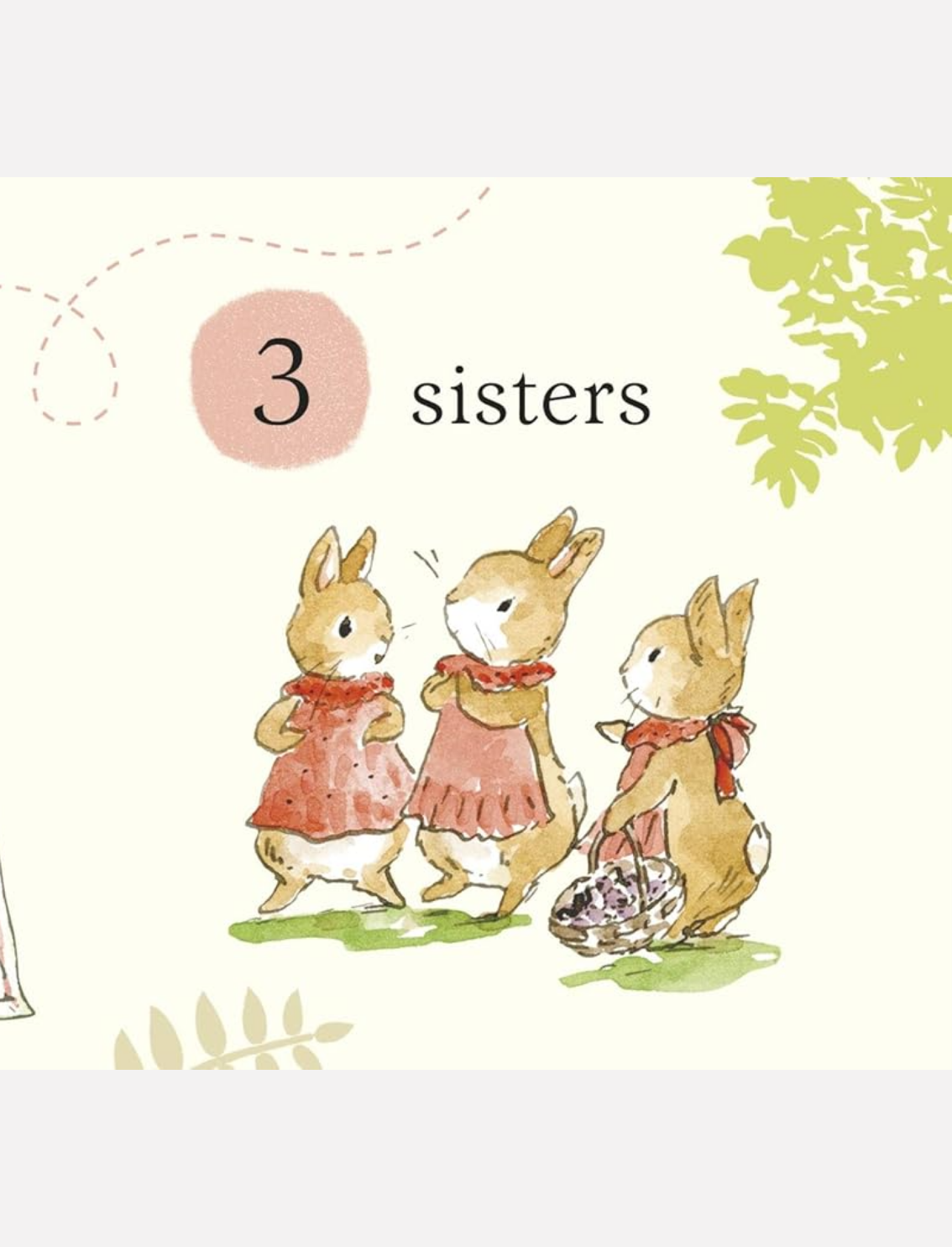 מארז ספרונים Little Library Peter Rabbit