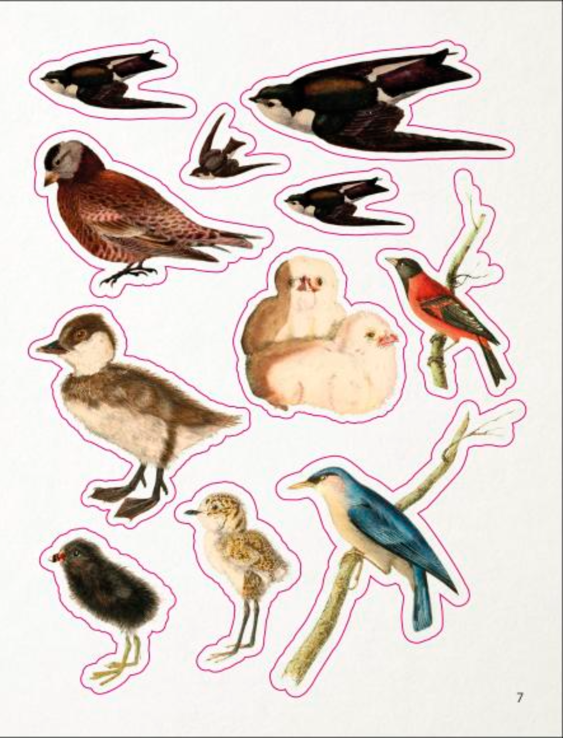 ספר מדבקות: The Bees, Birds & Butterflies Sticker Anthology