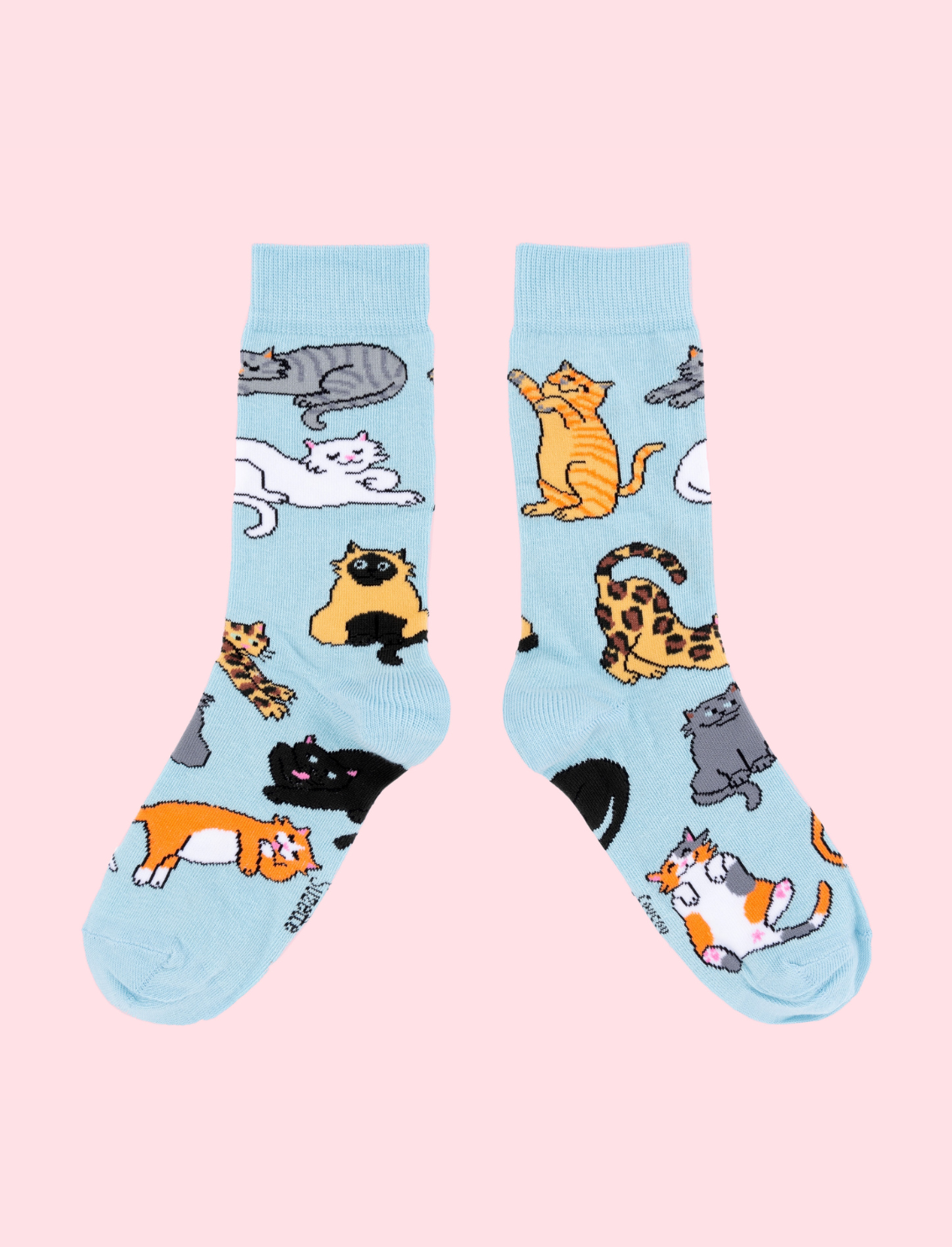 גרבי כותנה Meow