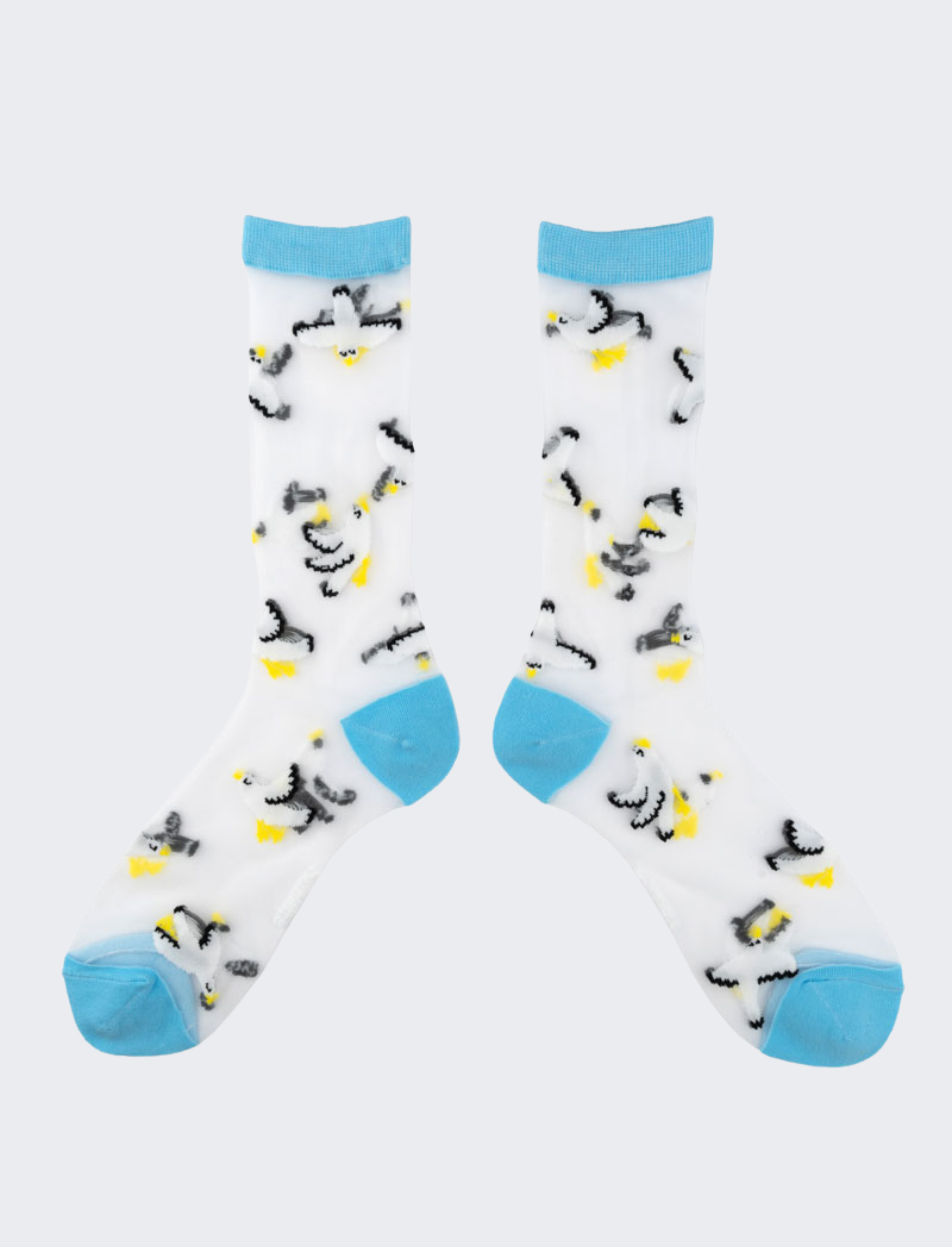 גרביים שקופות Seagull