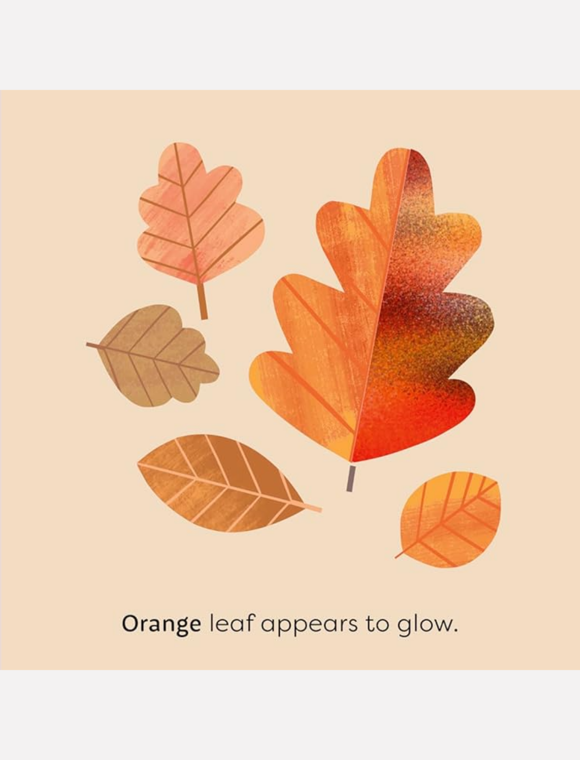 ספר סנסורי MiniTouch: Nature