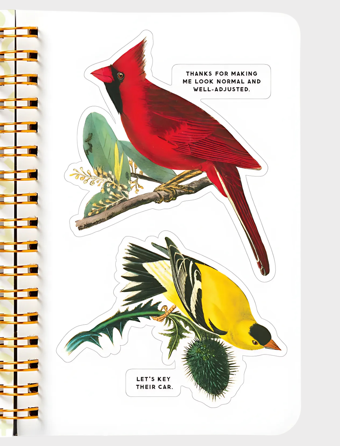 חוברת מדבקות Salty Birds