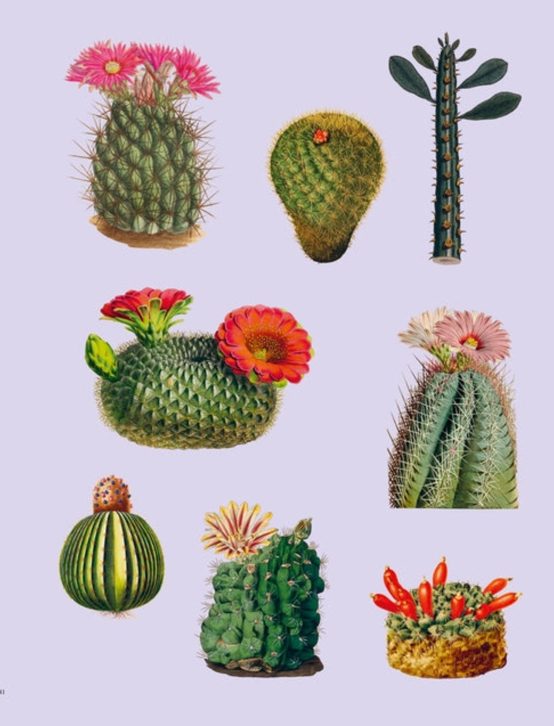 ספר מדבקות Extraordinary Things