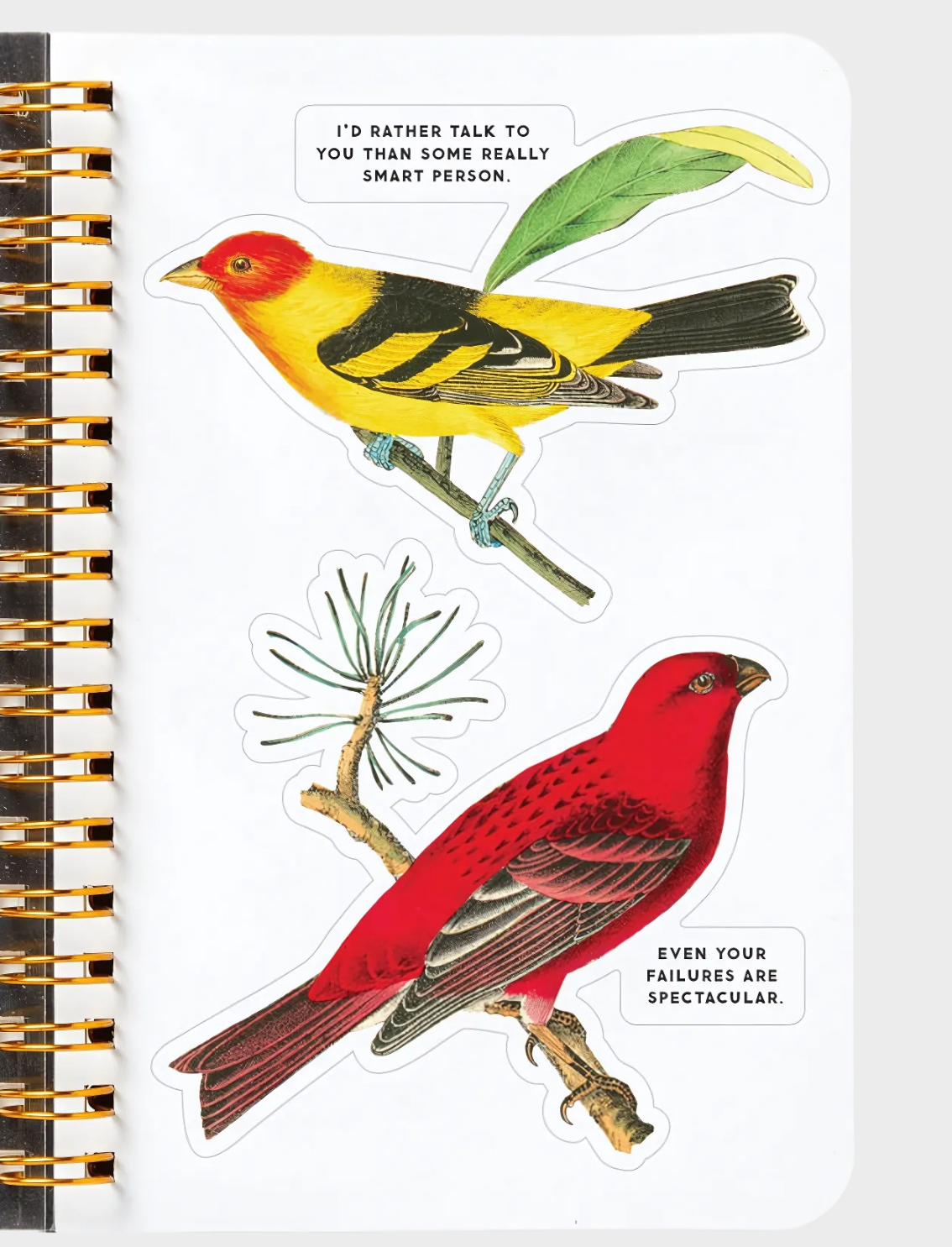 חוברת מדבקות Salty Birds