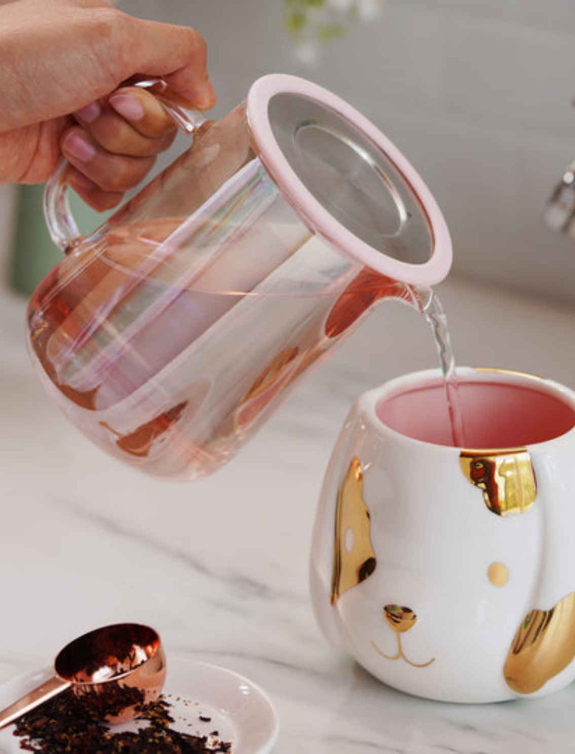 קומקום חליטה אישי לתה Chas