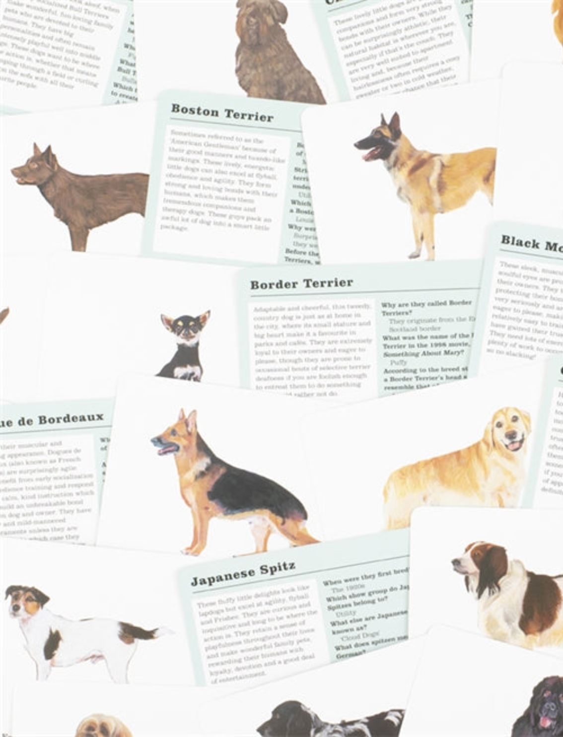 משחק קלפים Do You Know Your Dogs?