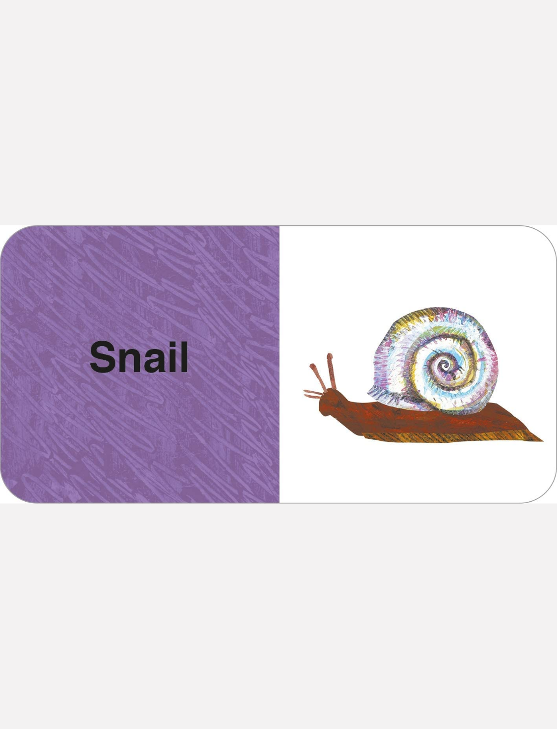 מארז ספרונים Eric Carle: Big Box of Little Books