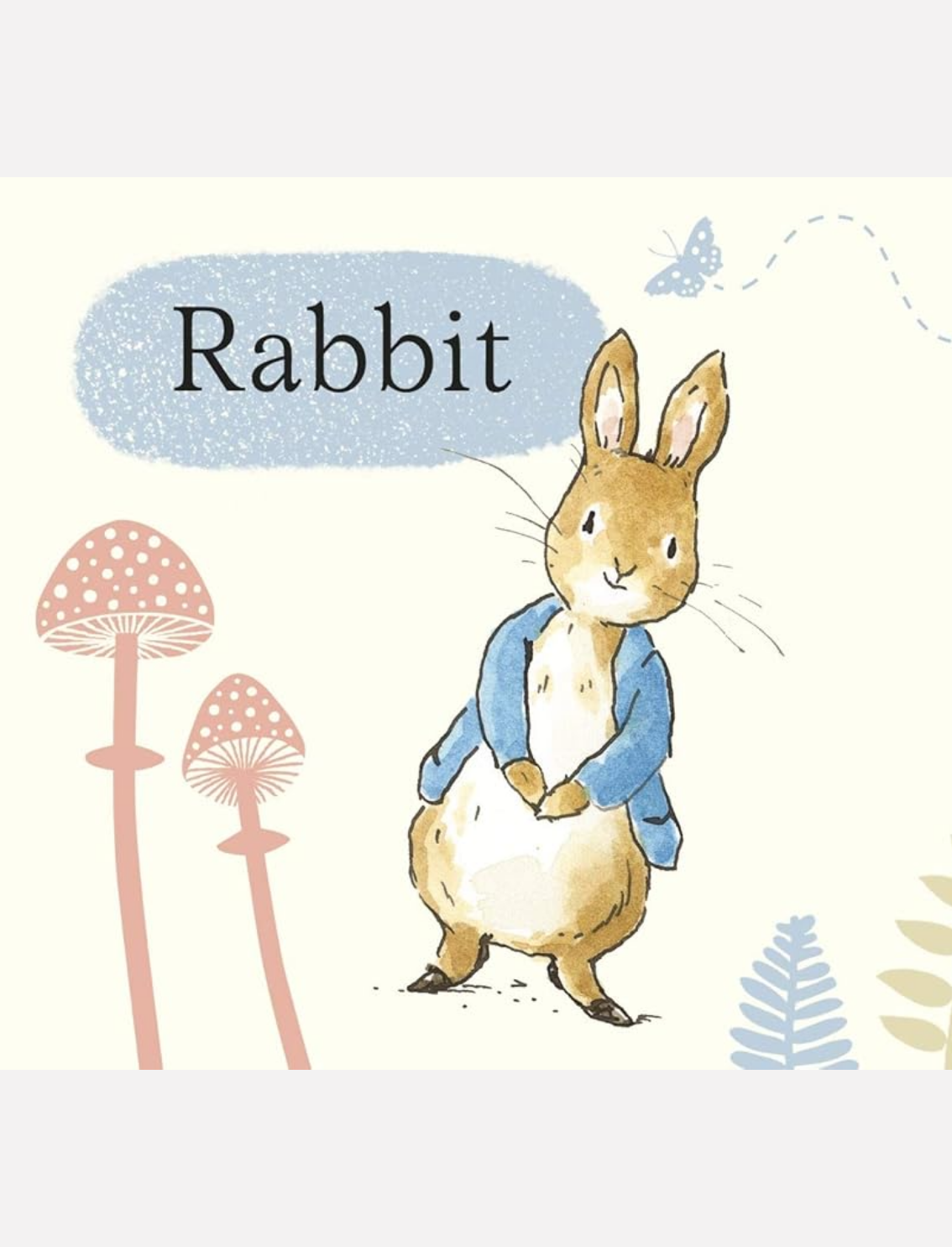 מארז ספרונים Little Library Peter Rabbit